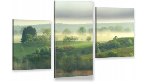 mgła las drzewa mazury ot2063.jpg