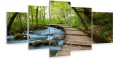 Obraz 5 części tryptyk KŁADKA POTOK W LESIE NATURA 