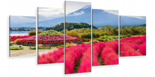 JAPONIA NATURA ot-488.jpg
