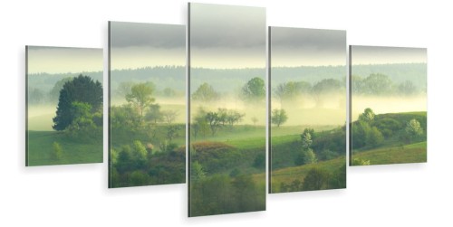 mgła las drzewa mazury ot-2063.jpg