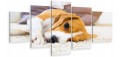 obraz 5 części tryptyk BEAGLE PIES PUPIL 