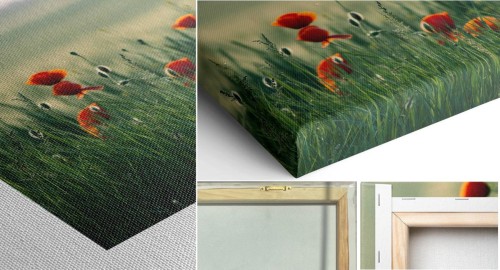 OBRAZ canvas panoramiczny drzewo akwarela 