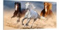 OBRAZ canvas panoramiczny Konie galop 