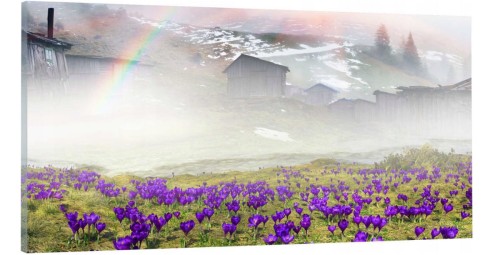 OBRAZ canvas panoramiczny KROKUSY GÓRY POLANA