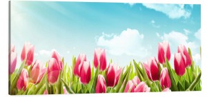 OBRAZ canvas czerwone kwiaty tulipany 