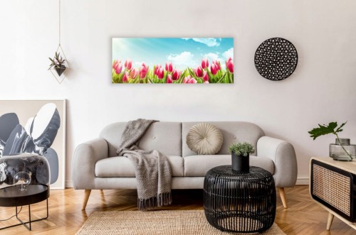 kwiaty tulipany.jpg