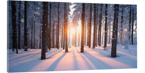 OBRAZ canvas panoramiczny las zimą śnieg