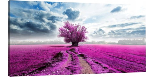 OBRAZ canvas panoramiczny DRZEWO LAWENDA