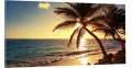 OBRAZ canvas panoramiczny palmy morze zachód 