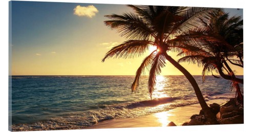 OBRAZ canvas panoramiczny palmy morze zachód 