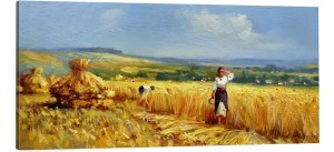 OBRAZ canvas plony zboże pole jak malowany