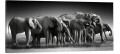 OBRAZ canvas panoramiczny słonie słoń art deco 