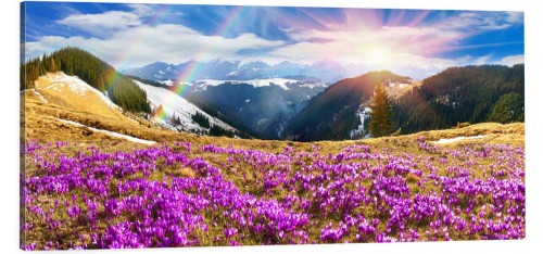 OBRAZ canvas panoramiczny tatry krokusy wiosna
