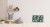 402wiz.jpg