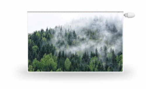 386.jpg