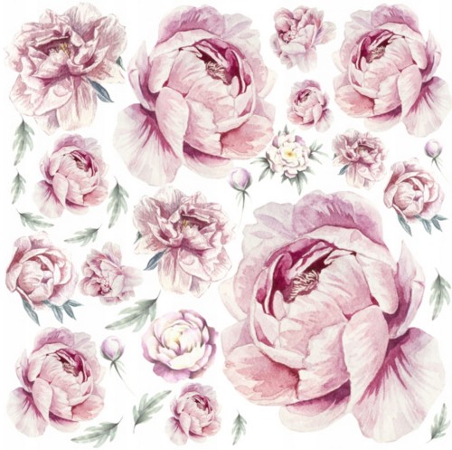 PIWONIE PEONIE kwiaty  .jpg