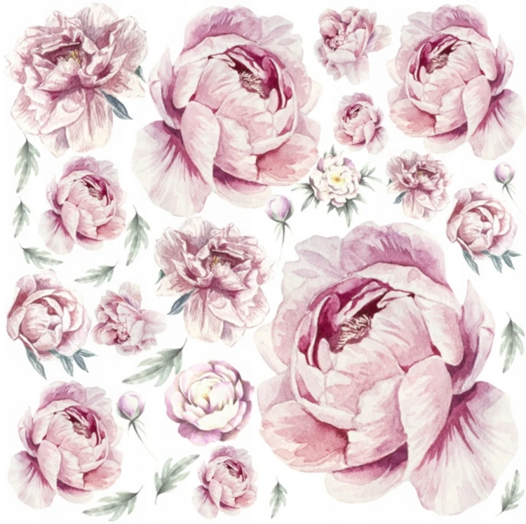 PIWONIE PEONIE kwiaty  .jpg