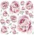 PIWONIE PEONIE kwiaty  100 .jpg