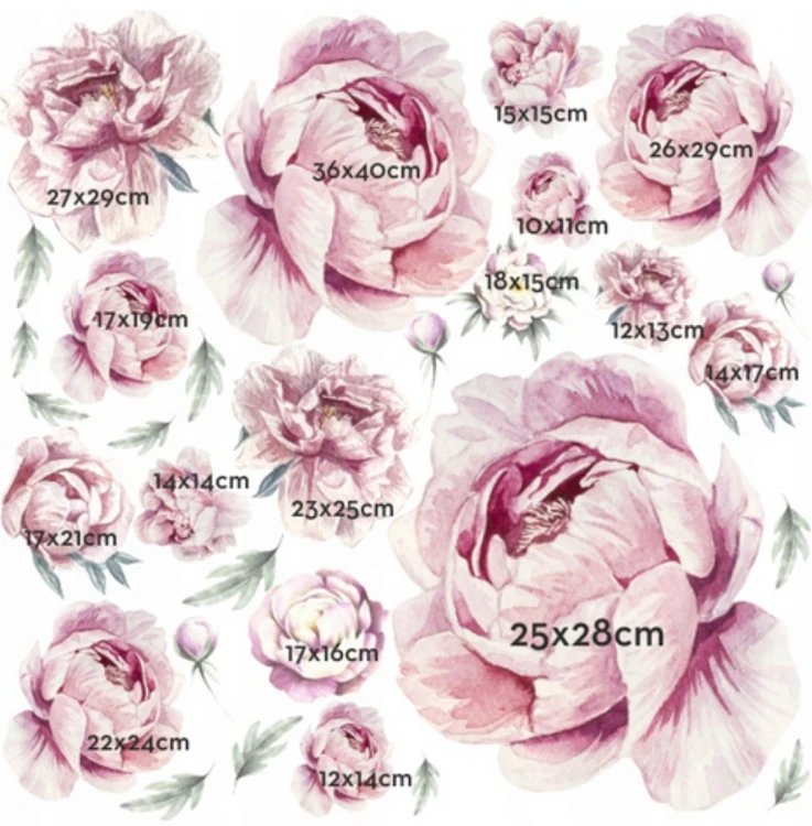 PIWONIE PEONIE kwiaty  100 .jpg
