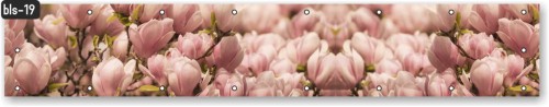 Osłona balkonowa na wymiar magnolia magnolie drzewo