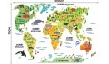 MAPA ŚWIATA ZE ZWIERZĘTAMI NAKLEJKI NA ŚCIANĘ dla dzieci
