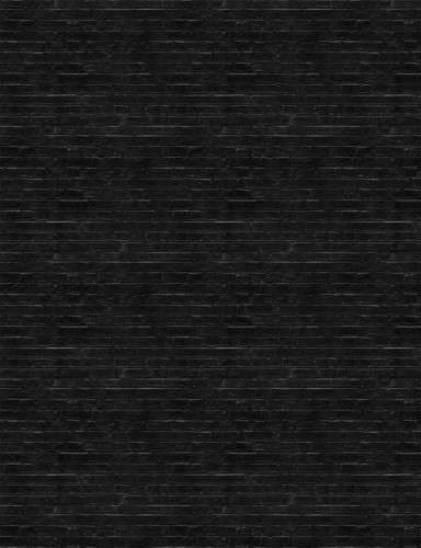 W14.jpg