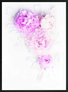 OBRAZ PLAKAT POSTER RÓŻOWE KWIATY