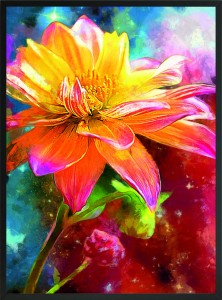 OBRAZ PLAKAT KOLOROWY KAWIAT KWIATY 