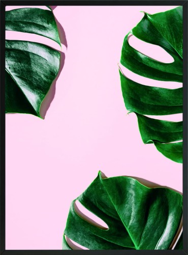 DEKORACYJNY OBRAZEK PLAKAT MONSTERA LIŚCIE ZIELEŃ