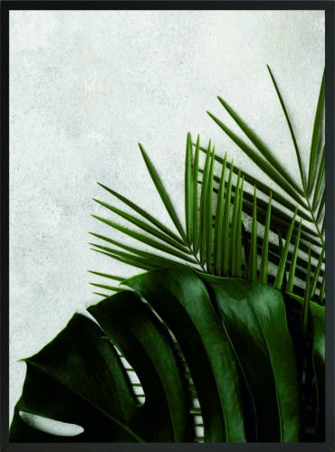 POSTER PLAKAT OBRAZEK ŚCIENNY LIŚCIE NATURA