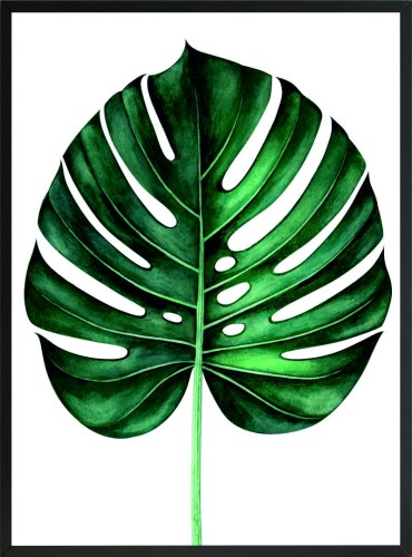 DEKORACYJNY POSTER PLAKAT DO SYPIALNI LIŚĆ MONSTERA