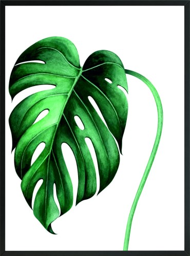 PLAKAT ŚCIENNY DEKORACJA DO SALONU SYPIALNI MONSTERA