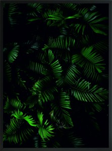 PLAKAT DEKORACJA DO SALONU LIŚCIE ZIELEŃ 