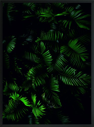 PLAKAT DEKORACJA DO SALONU LIŚCIE ZIELEŃ 
