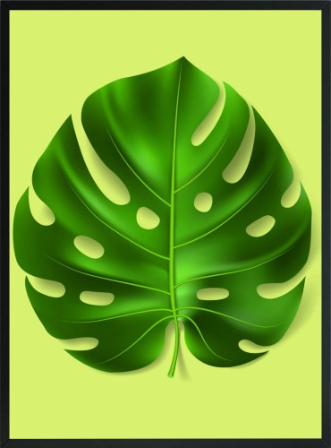 POSTER PLAKAT DEKORACYJNY TROPIKALNY LIŚĆ MONSTERY