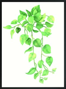 PLAKAT DEKORACYJNY NATURA LIŚCIE LISTKI ZIELONE 