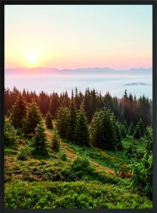 PLAKAT OBRAZEK natura widok drzewa niebo