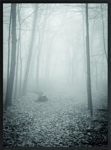 PLAKAT POSTER DO SALONU LAS MGŁA NATURA 