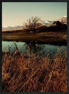 PLAKAT POSTER DO SALONU NATURA STAW TRAWA 