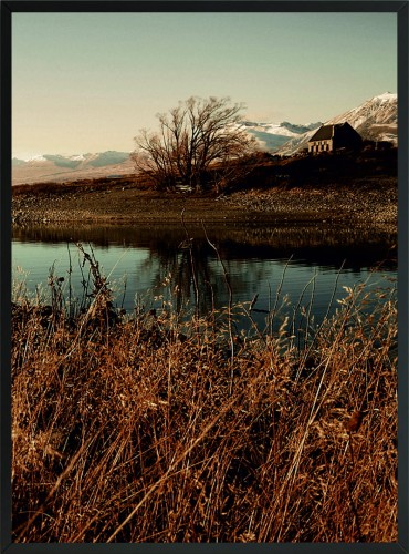 PLAKAT POSTER DO SALONU NATURA STAW TRAWA 