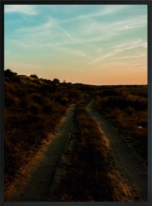 PLAKAT POSTER DEKORACJA NA ŚCIANĘ POLANA TRAWA ZACHÓD 