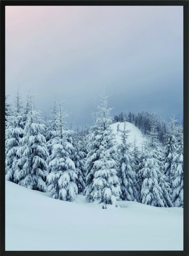 PLAKAT POSTER DEKORACYJNY LAS ŚNIEG ZIMA 