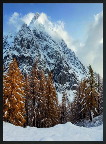 OBRAZ PLAKAT DO SALONU ZIMA W GÓRACH LAS DRZEWA 