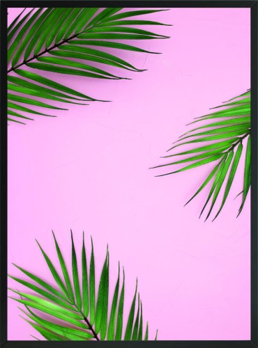 PLAKAT DO SYPIALNI SALONU MONSTERA RÓŻ