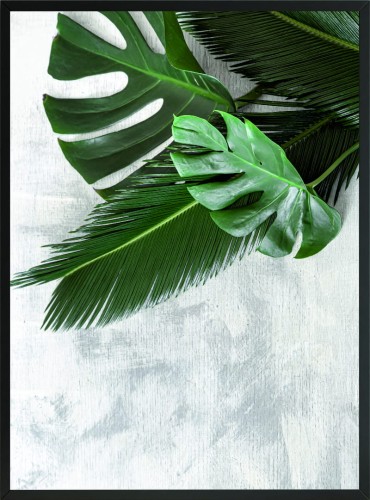 PLAKAT POSTER DEKORACYJNY LIŚCIE MONSTERY