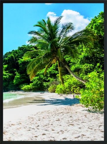 OBRAZ PLAKAT ŚCIENNY PALMY TROPIKI PLAŻA 