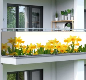 Osłona balkonowa na wymiar żonkile kwiaty wiosna