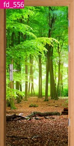FOTOTAPETA OKLEINA NA DRZWI las drzewa natura