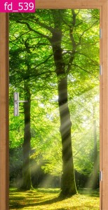 DRZEWA SŁOŃCE LAS FOTOTAPETA NA DRZWI OKLEINA