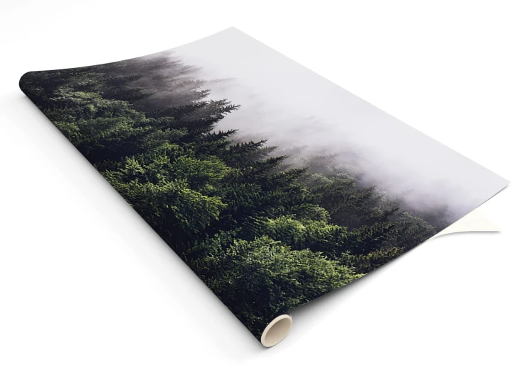 036ok_wiz-00_1600x1143_150.jpg